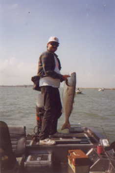 39 inch Red Fish