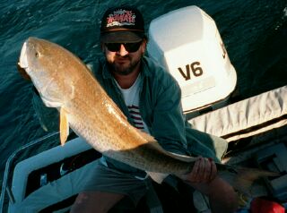 Big Red Fish